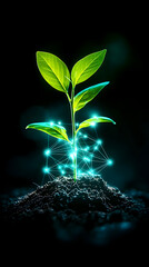 A vibrant green seedling sprouts from dark soil, encircled by glowing, interconnected nodes of light against a black background