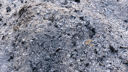 Close-up view of a pile of white and black wood ash with charcoal remnants, showing rough texture...