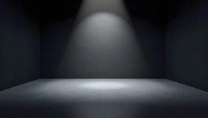 Obraz premium Abstract empty spacious place for presentation with dark wall and floor and spot light from above, isometry. White tone