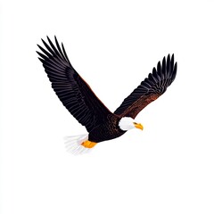 Fototapeta premium Soaring Bald Eagle Icon