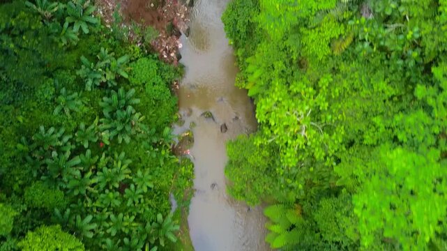 Drone shows a meandering river cutting through the vibrant green rainforest landscape in Bali&rsquo;s Tabanan Regency, rich in tropical flora and pristine ecosystems.