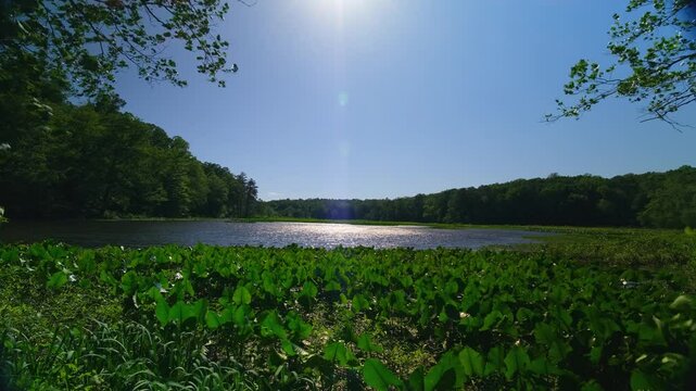 Pocahontas State Park