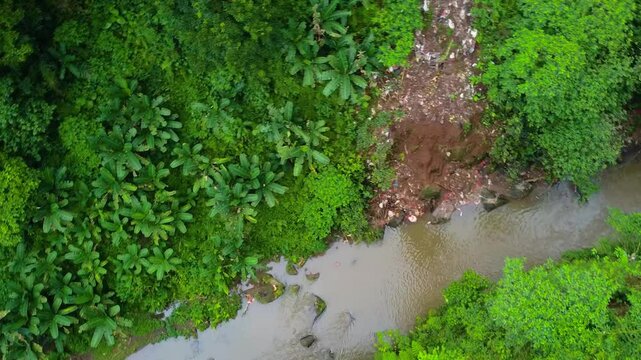 Drone captures the river&rsquo;s flow in Tabanan Regency, Bali, amidst an untouched tropical rainforest filled with lush vegetation and scenic beauty.