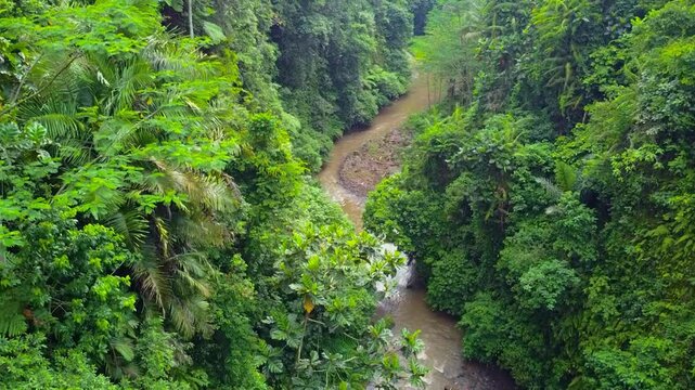 Drone shows the beautiful river terrain flowing through tropical rainforests of Tabanan, Bali, known for its serene and natural landscapes.