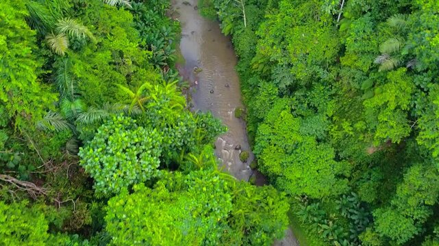 Drone aerial view of a calm river flowing through thick tropical rainforest in Bali&rsquo;s Tabanan region, a scenic and eco-rich location.