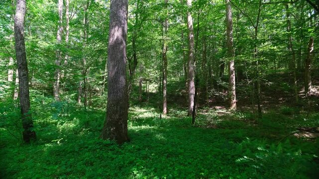 Pocahontas State Park