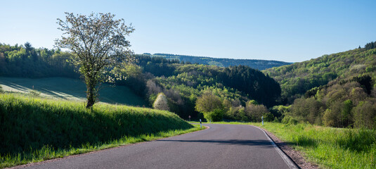 fresh spring colors on trees and fields in german nature park saar-hunsrueck under blue sky