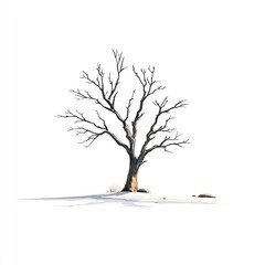 dead tree in desert 