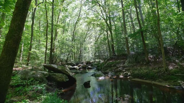 Pocahontas State Park