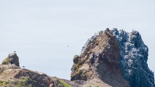 Devil's Crown off Floreana Island in the Gal&aacute;pagos &ndash; Iconic Snorkeling and Diving Site Surrounded by Marine Wildlife