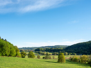 trees and wetlands of river Saar in national park saar-hunsrueck near metlach in germany