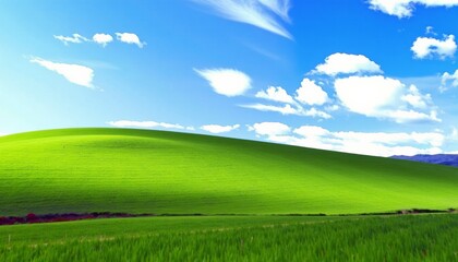 Obraz premium Blue Sky Over Green Grass Landscape