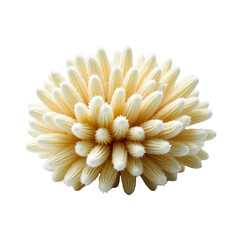 Captivating luminous sea moss clump detailed close up showcasing velvety texture and soft delicate features evoking serene underwater ambiance
