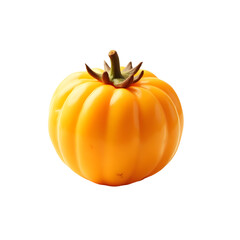 Captivating still life, A glossy, vibrant yellow pumpkin stands out against the simple backdrop in stunning detail