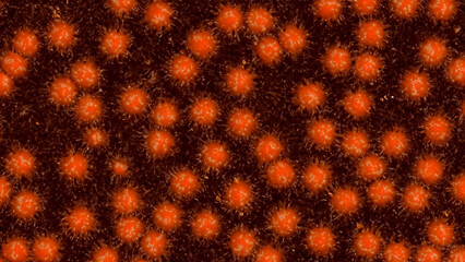 Intricate, textured pattern of  orange dots on dark background