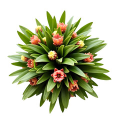 Captivating Still Life, An Exquisite Composition of Lush Green Leaves and Exotic Pink Flowers on Neutral Background