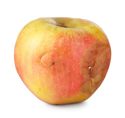 One whole rotten apple isolated on white