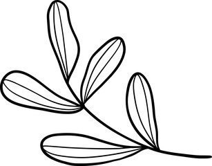 Botanical Leaf Cluster with Alternating Oval Leaves