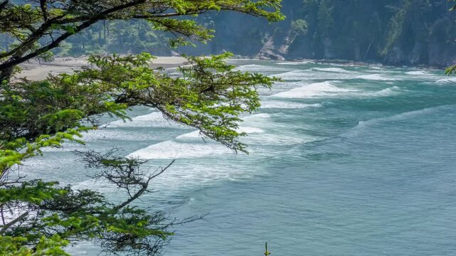 4K drone footage of Short Sand Beach, also called Smuggler Cove, in Oswald West State Park. A hidden gem surrounded by coastal forest and dramatic cliffs.