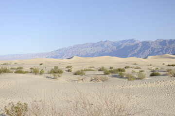 Sparce desert shrubs in Sand Dunes with a Mountain Range with dusty blue sky in Mesquite Flats in Death Valley California