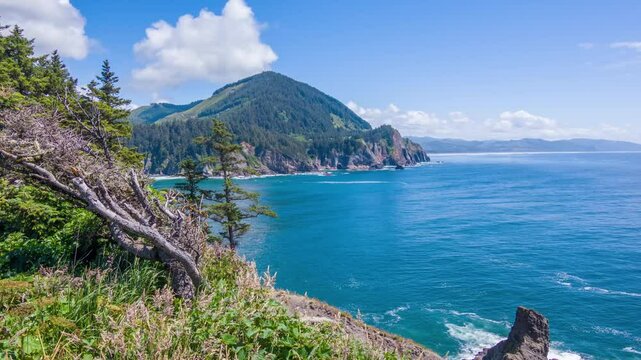 Scenic footage from the Cape Falcon Trailhead in Oswald West State Park, Oregon, showing dense green forest, coastal cliffs, and Pacific Ocean views near Manzanita.
