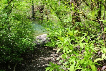 A path reaches the edge of a stream