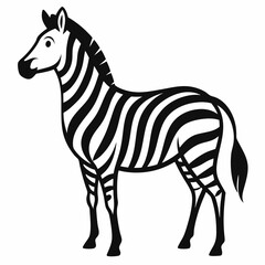 vector illustration of zebra