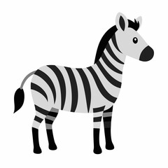 zebra vector illustration