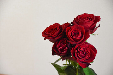赤い薔薇