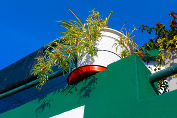 Planter overflowing with lush greenery, rests atop a teal colored wall. Potted plant, with its...