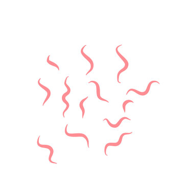 Tapeworm hand drawn illustration vector