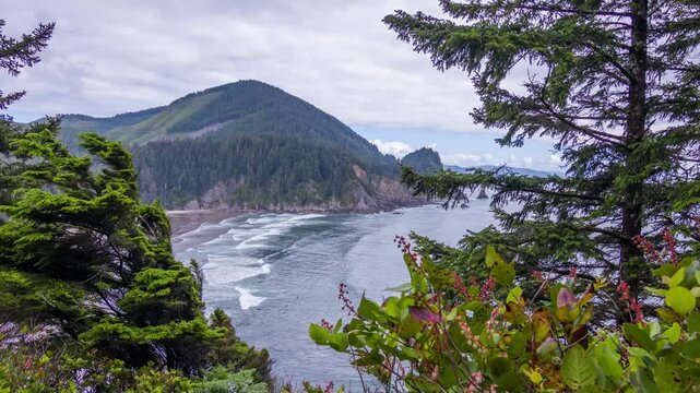 Footage shows a view from Oswald West State Park in Oregon, USA. This park is known for its dramatic coastline, lush rainforests, and scenic hiking trails.