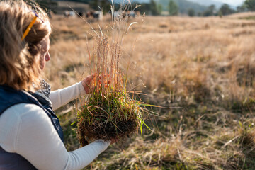 farmer holding soil full of microorganisms. sustainable regenerative agriculture, women in...