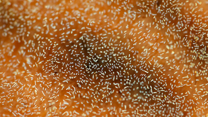 Close-up view of intricate patterns on a textured surface