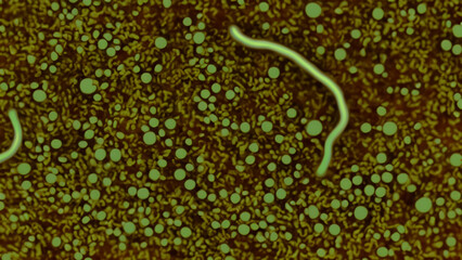 Microscopic view of a surface with various organic structures