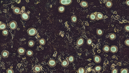 Abstract microscopic view of cells