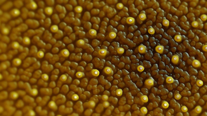 Close-up view of a textured surface with small, round, yellow objects embedded in a brown matrix