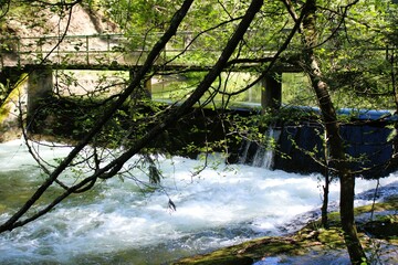A small dam with cascading water, viewed through tree branches