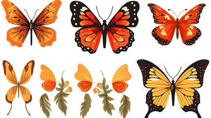 Detailed Butterfly Life Cycle Vector Illustration Clipart for Educational Resources