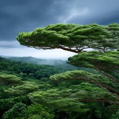 A striking view of lush green trees under a moody, overcast sky, showcasing nature's resilient beauty.