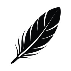 Obraz premium Single black feather silhouette illustration design