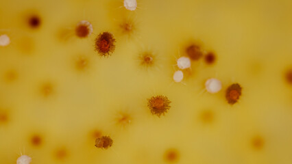 Microscopic view of microorganisms on a yellow surface