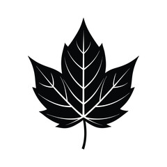 Black silhouette of a maple leaf design
