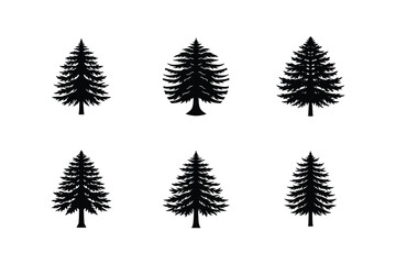 cedar silhouette vector illustration