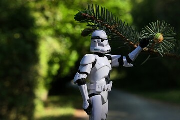 Naklejka premium Star Wars action figure of Clone Trooper examining spring branch tip of coniferous tree Alcock Spruce, latin name Picea alcoquiana. Sunlit by spring daylight sunshine. Park footpath and lawn behind. 