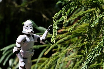Naklejka premium Star Wars action figure of Clone Trooper in white armor and helmet posing with sunlit coniferous branch of Sugi tree, also called Japanese Cedar or Japanese Redwood, latin name Cryptomeria Japonica. 