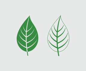 Simple Vector Green Leaf Illustration, Solid And Outline Stylish