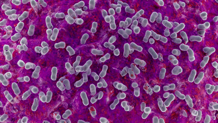 Fototapeta premium Microscopic view of bacteria colonies (7)