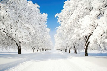 Winter wonderland landscape (1)