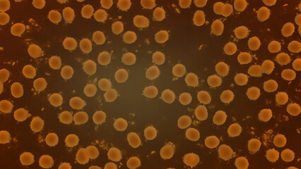 Microscopic view of orange-toned, circular structures